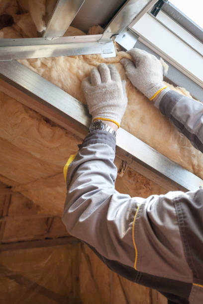 Best Specialty Insulation in Allen, TX