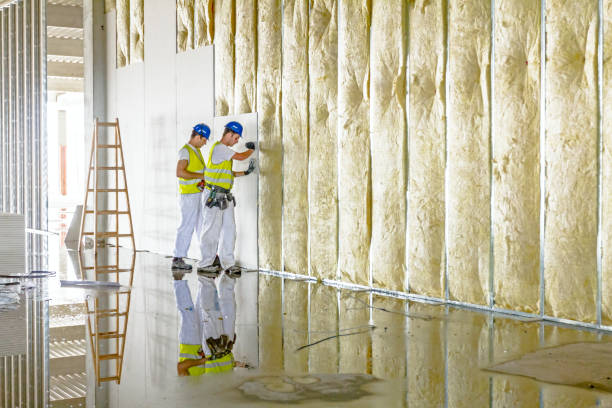 Best Types of Insulation in Allen, TX